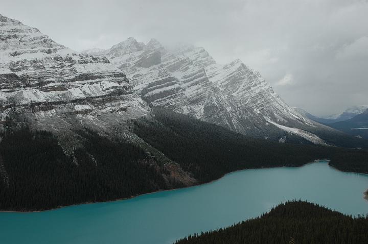 Lac Peyto (2).JPG